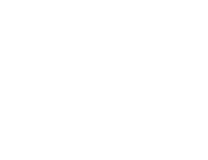 Danz Construction